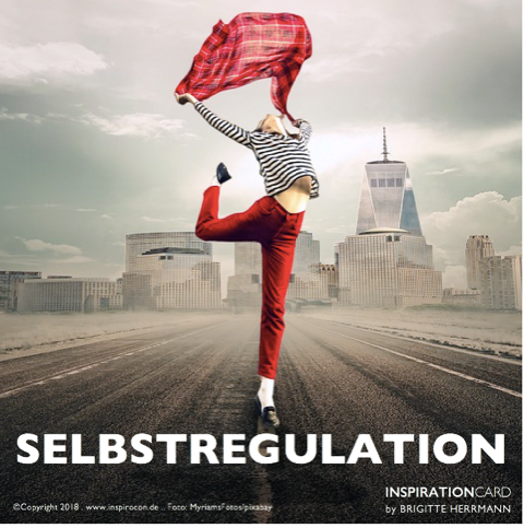Selbstregulation Brigitte Herrmann